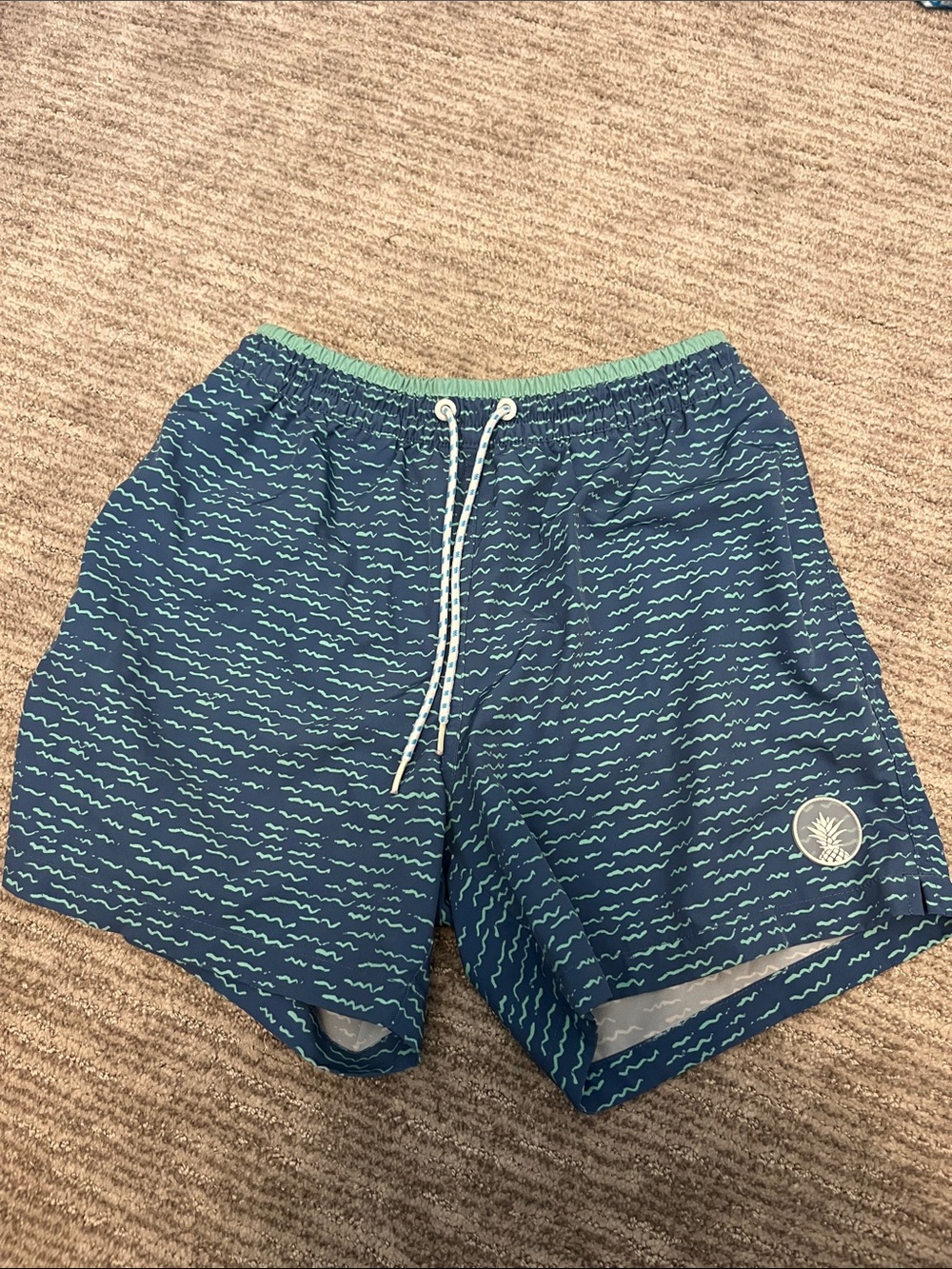 CHUBBIES—  Navy/green Swim Trunks with Mint Waistband size men’s medium